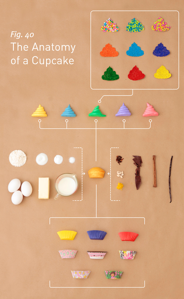 Anatomie du Cupcake